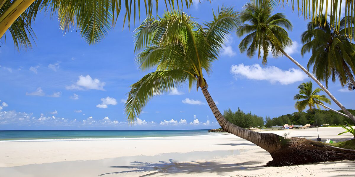 Wit strand met palmen en blauwe zee