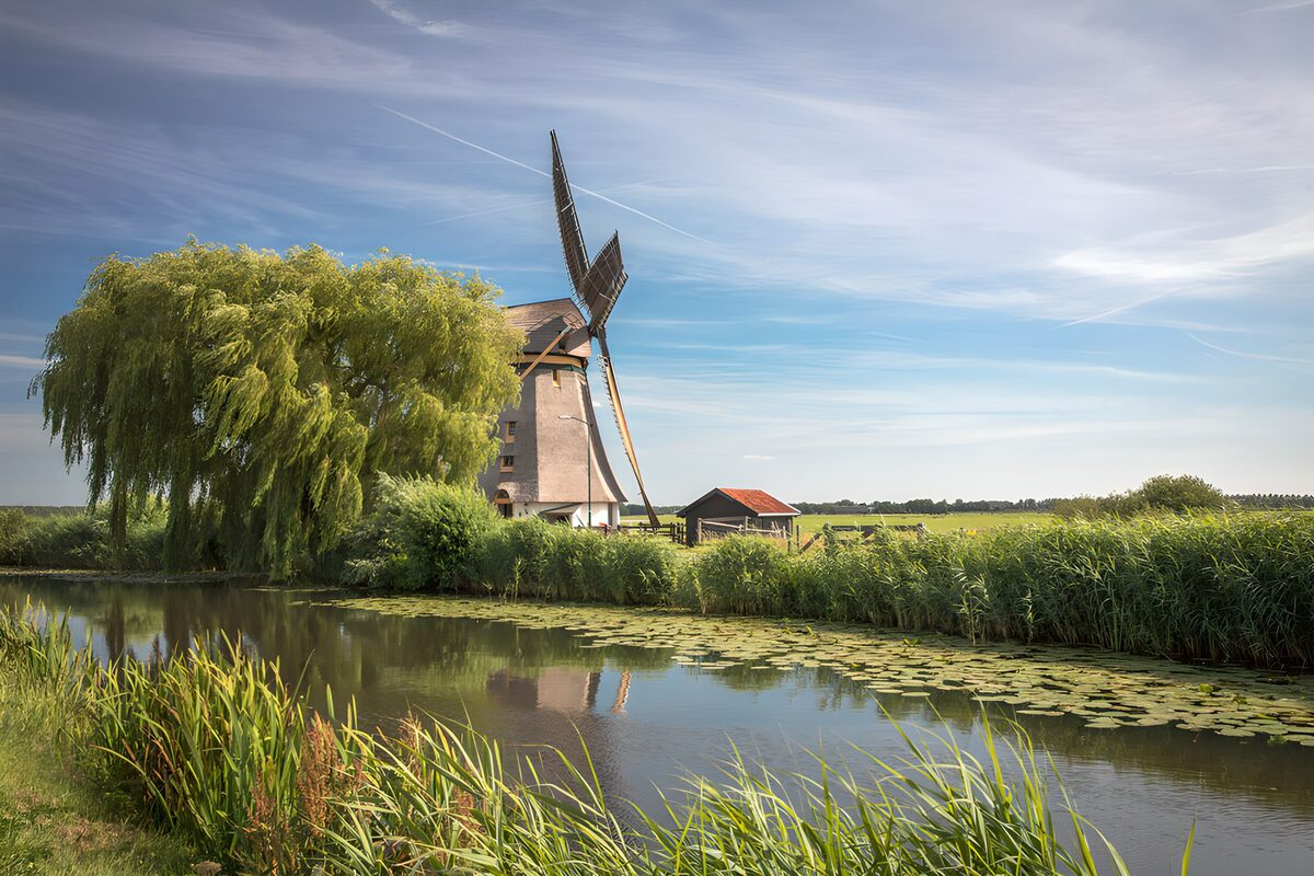 Windmolen achter de wilg aan het water