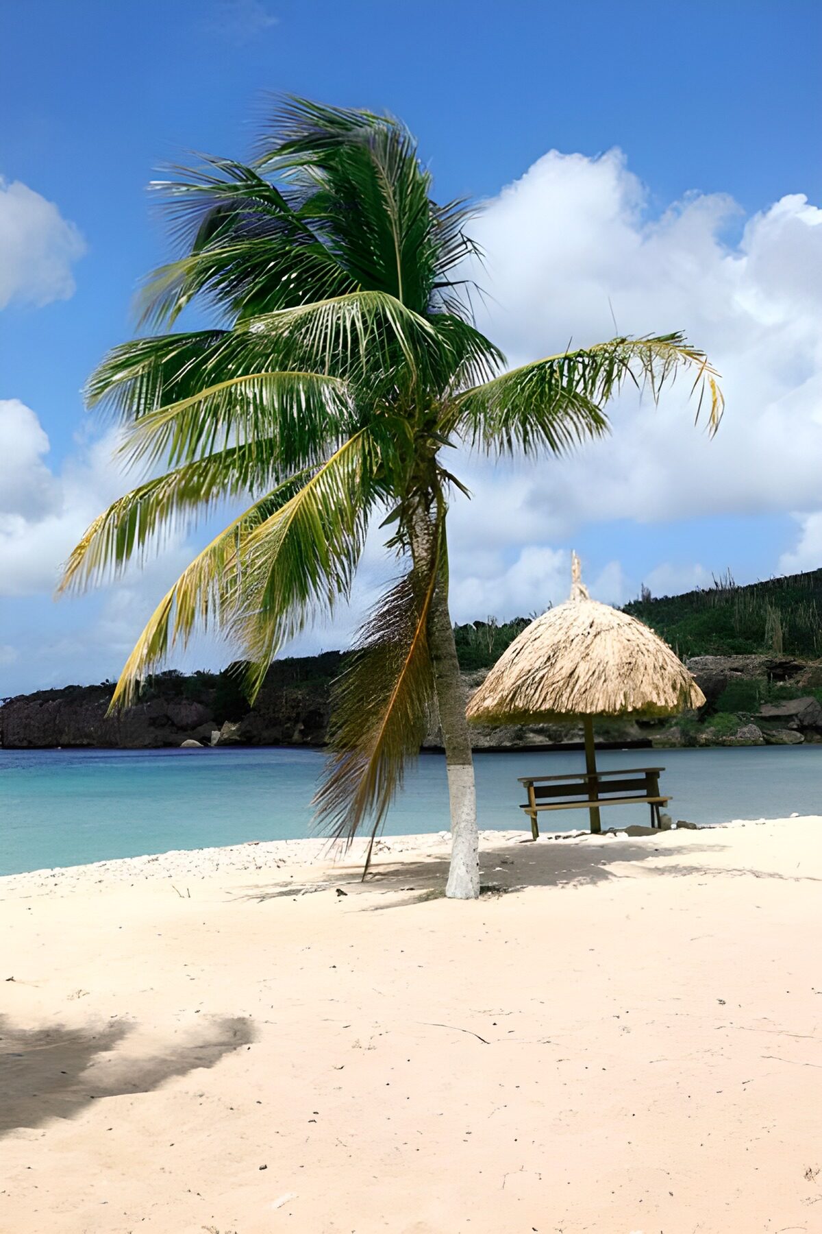 Palmboom en parasol aan turquoise water