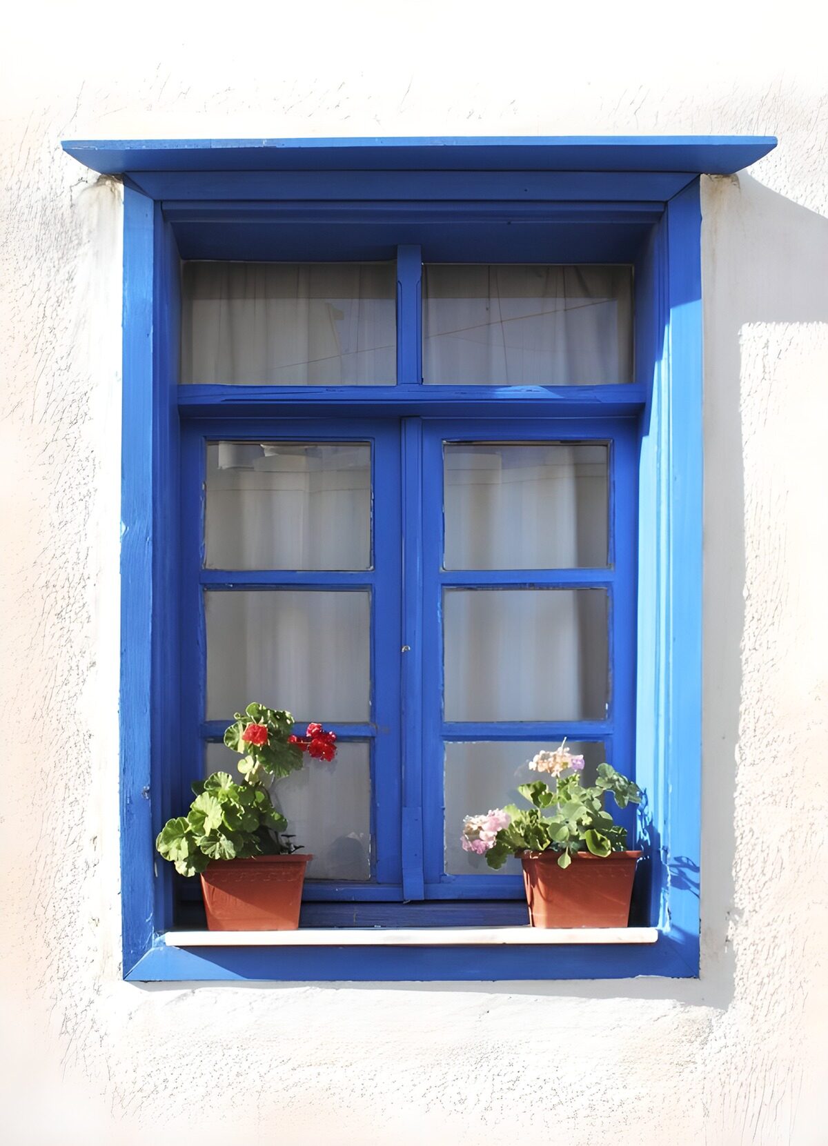 Blauw raam met geraniums in de zon