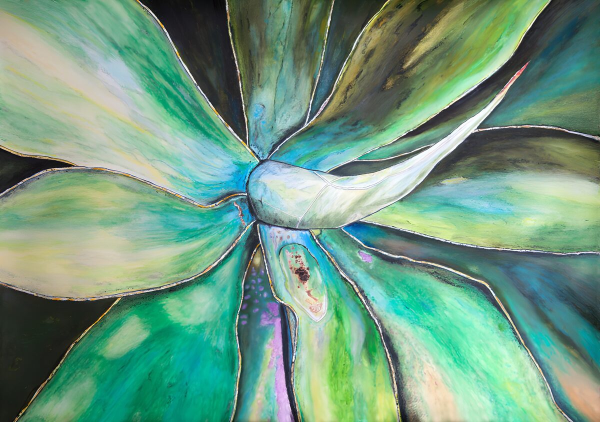 Vetplant in groen en turquoise