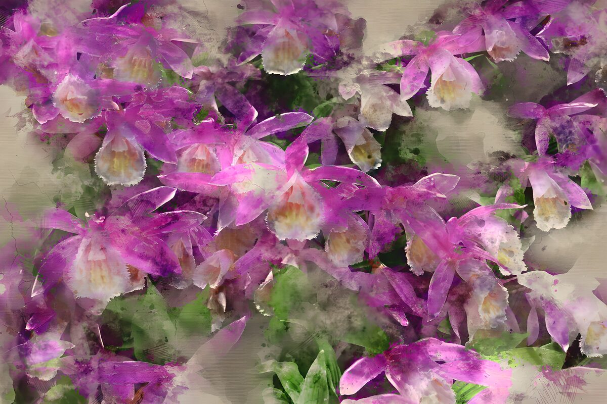 Roze en paarse orchideeën in aquareltinten