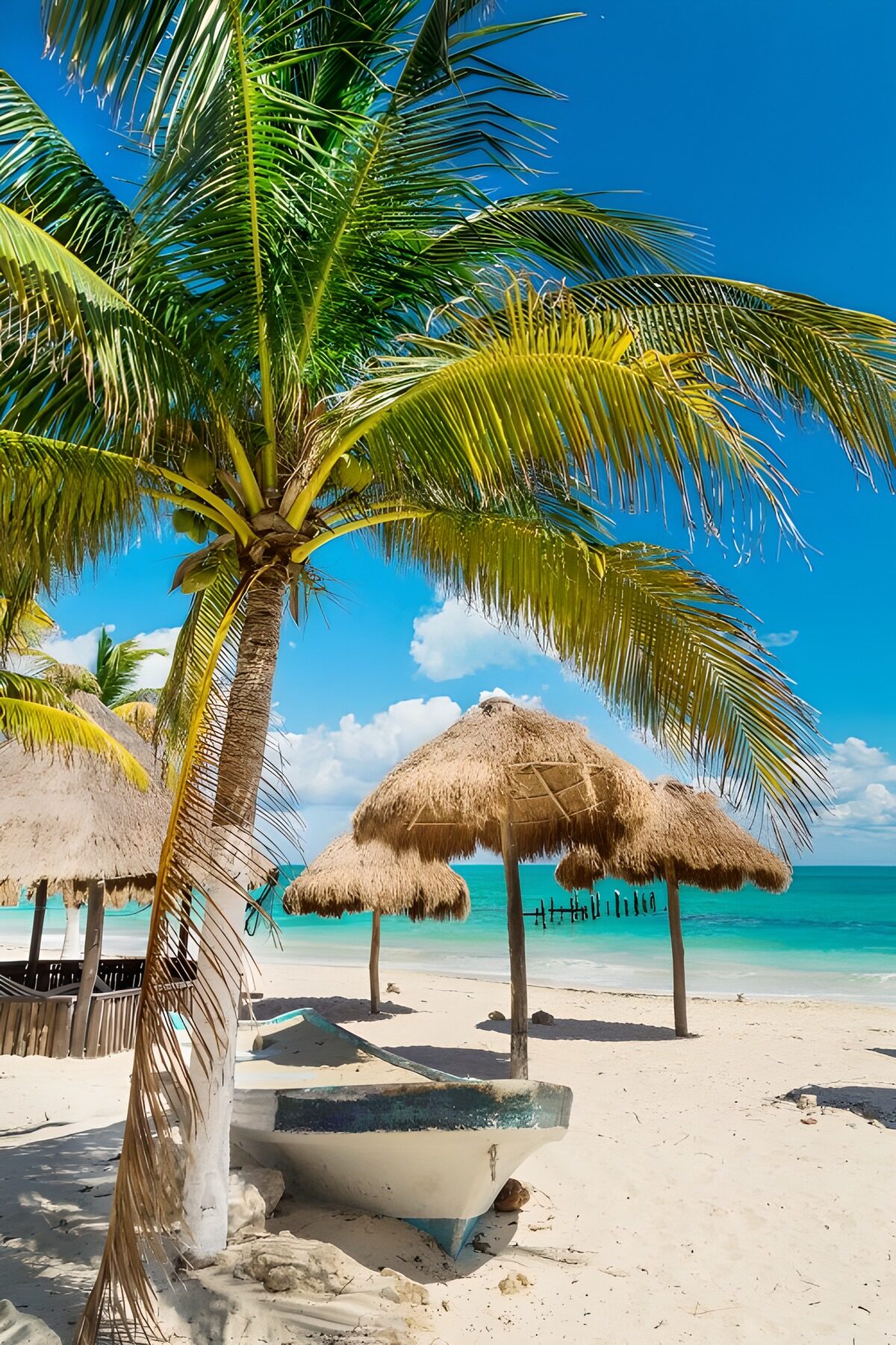 Palmboom en boot op een zonnig strand