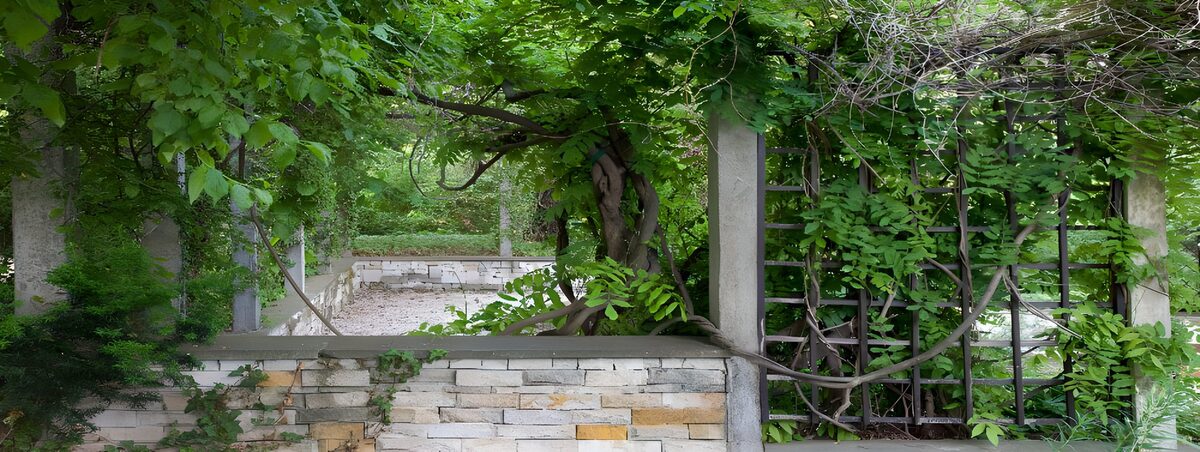 Groene pergola achter een stenen muur