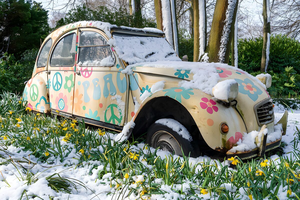 Citroën 2CV tussen sneeuw en narcissen