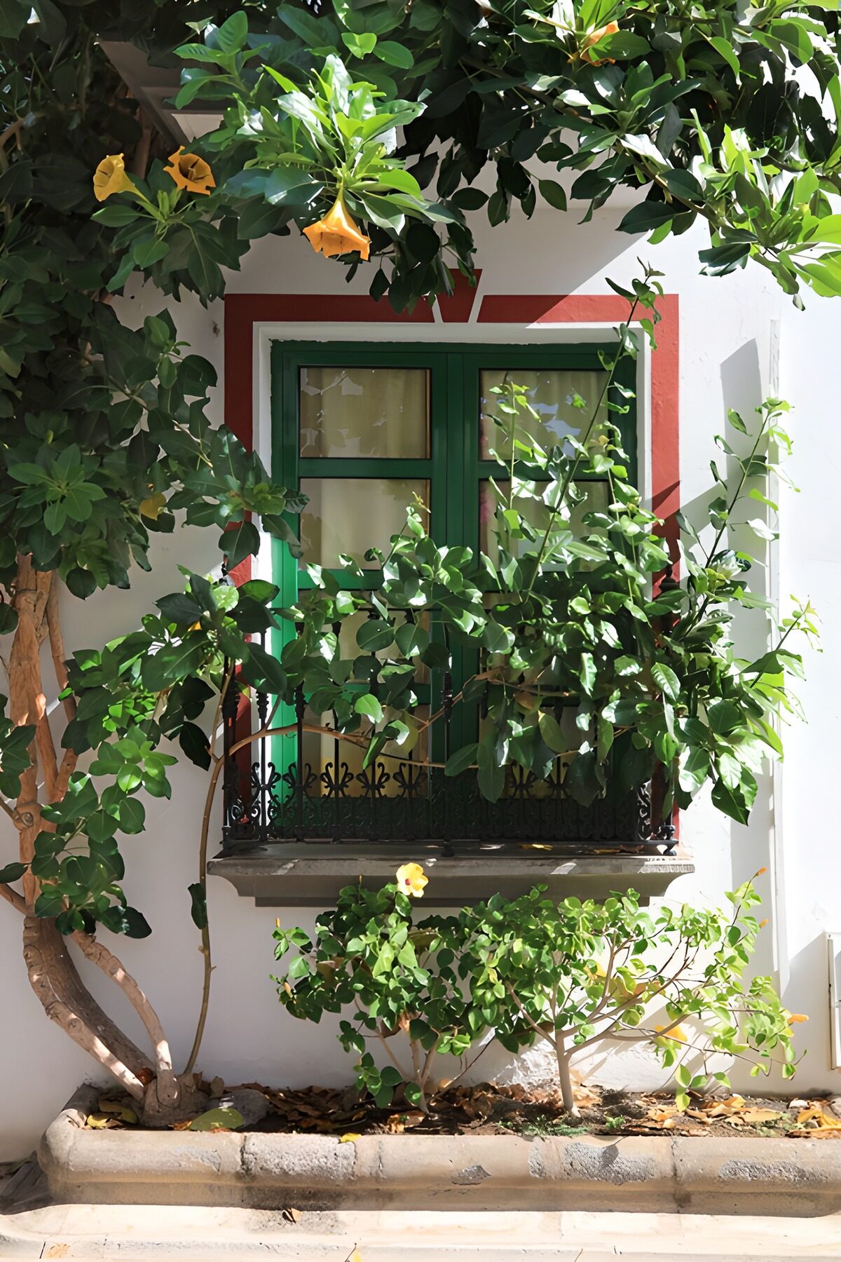 Groen raam met gele bloemen in de zon