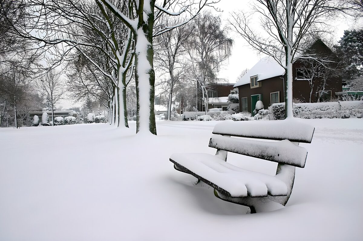 Besneeuwd bankje tussen kale bomen