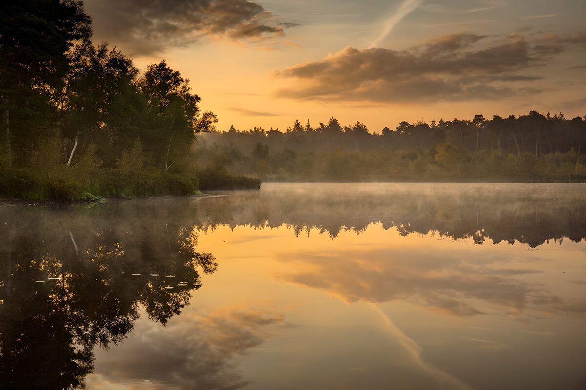 Mist boven een meer in gouden licht