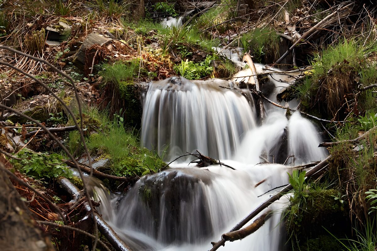 Bosbeek met kleine watervallen