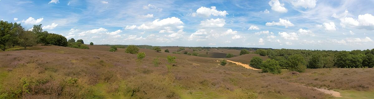 Heidepanorama onder een wolkenlucht