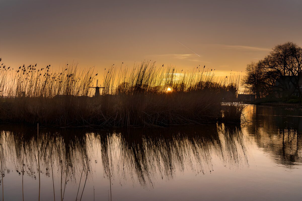 Zonsondergang boven riet en water
