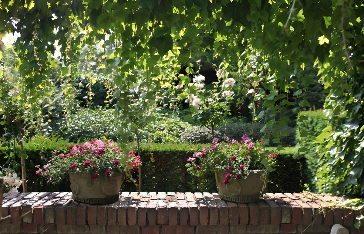 Bloempotten op een zonnige tuinmuur