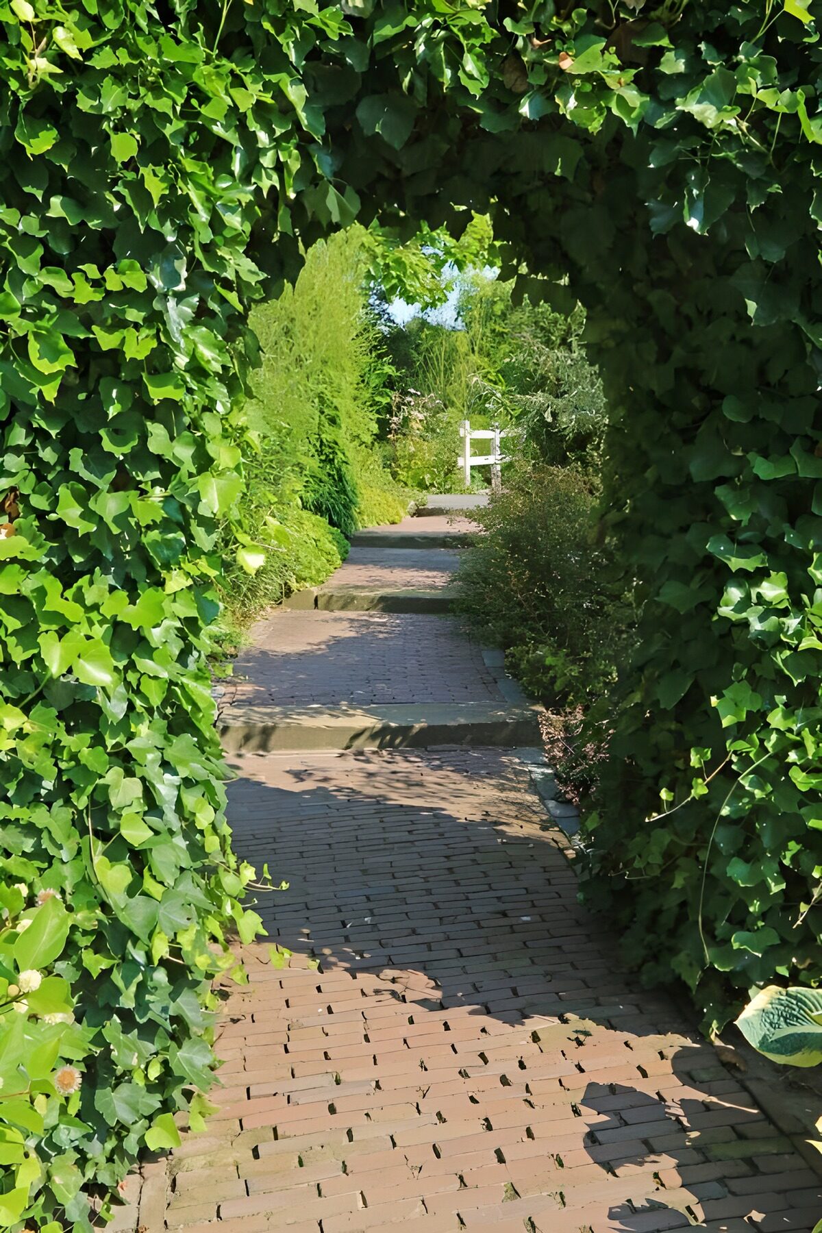 Bakstenen tuinpad onder een klimopboog