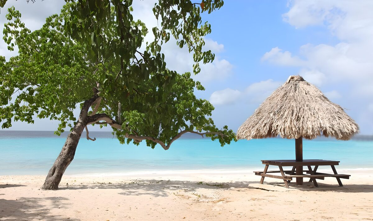 Strand met boom en rieten parasol