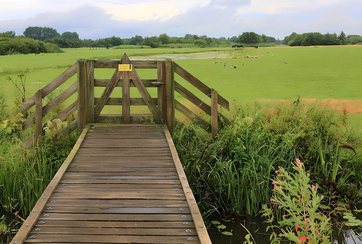 Houten brug naar een groen weiland