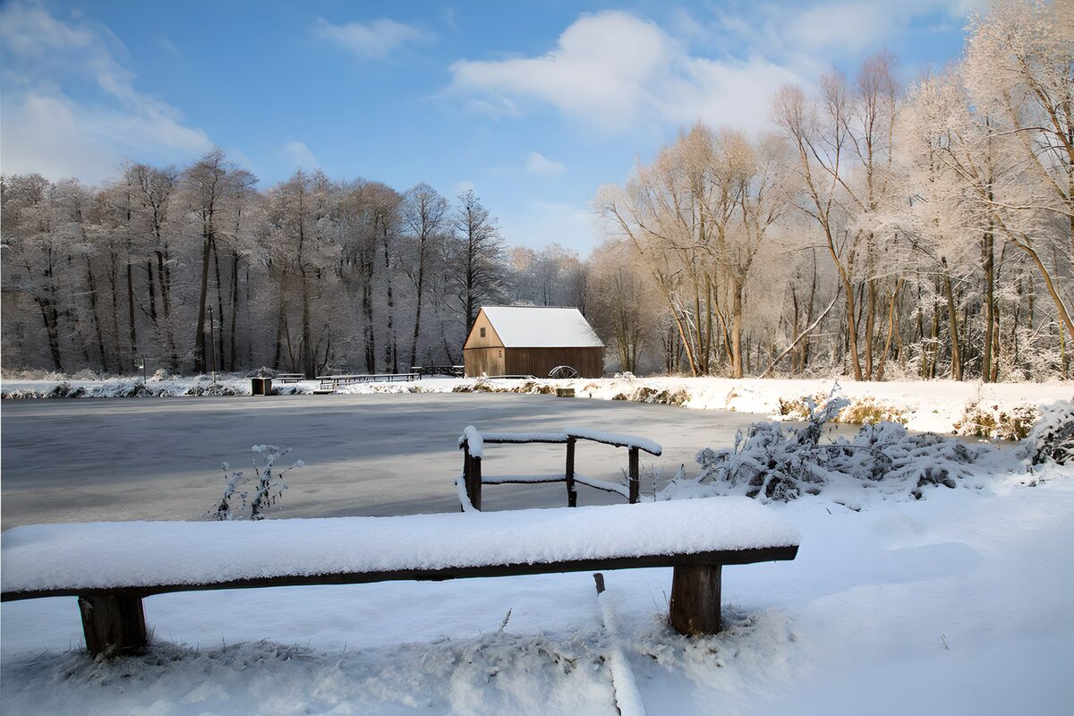 Besneeuwde bank aan een bevroren vijver