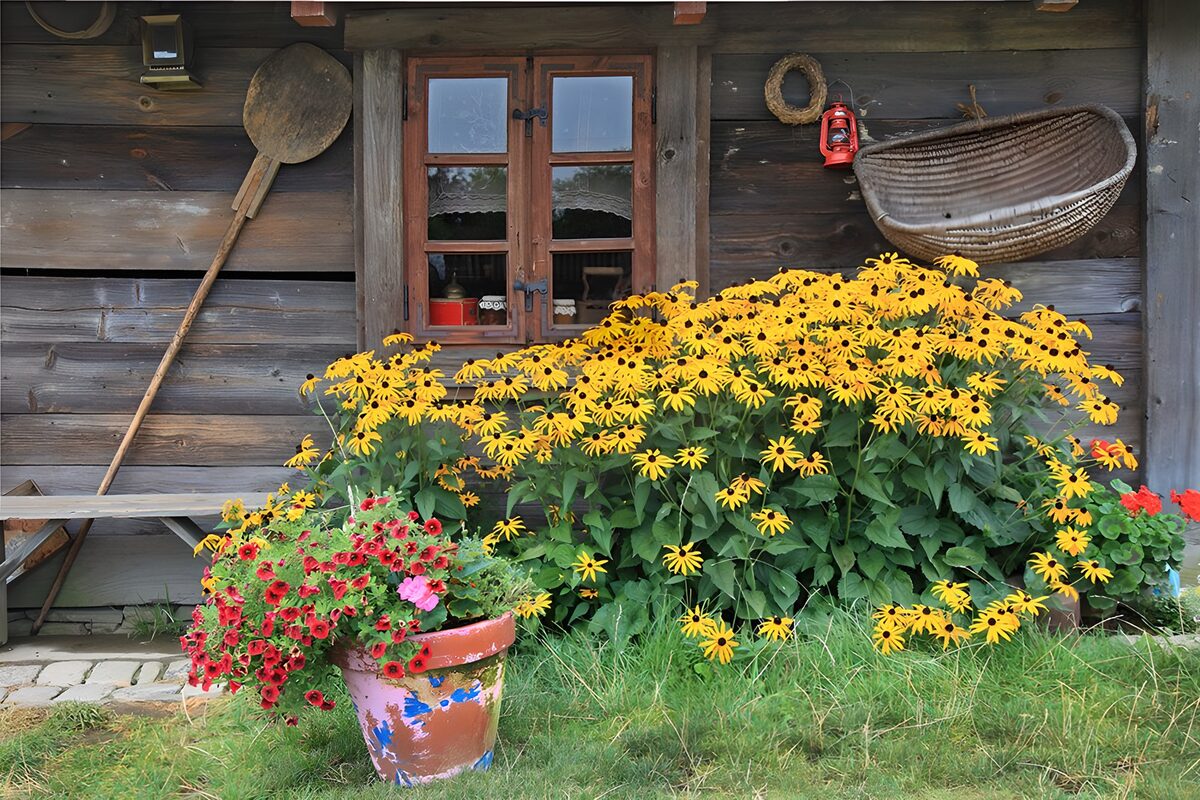 Gele bloemen voor een houten gevel