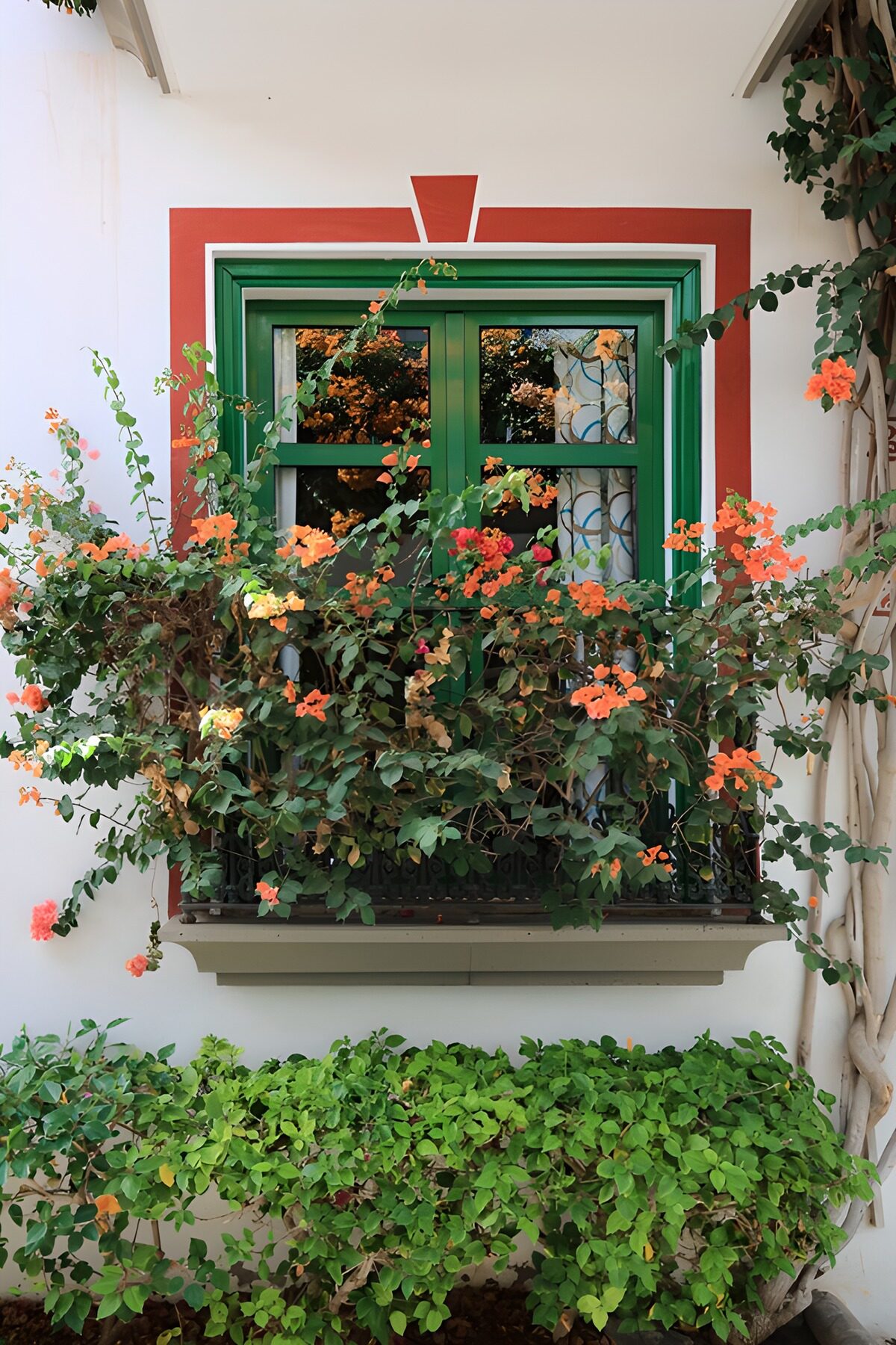 Groen raam tussen oranje bloemen