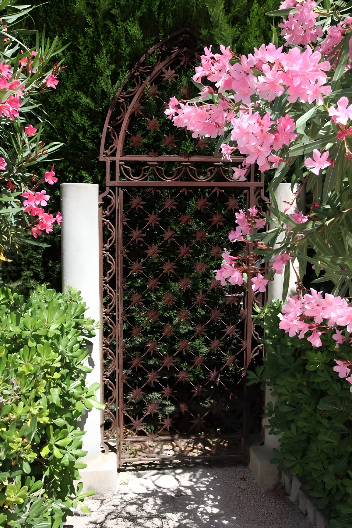 Sierlijke tuinpoort tussen roze bloemen