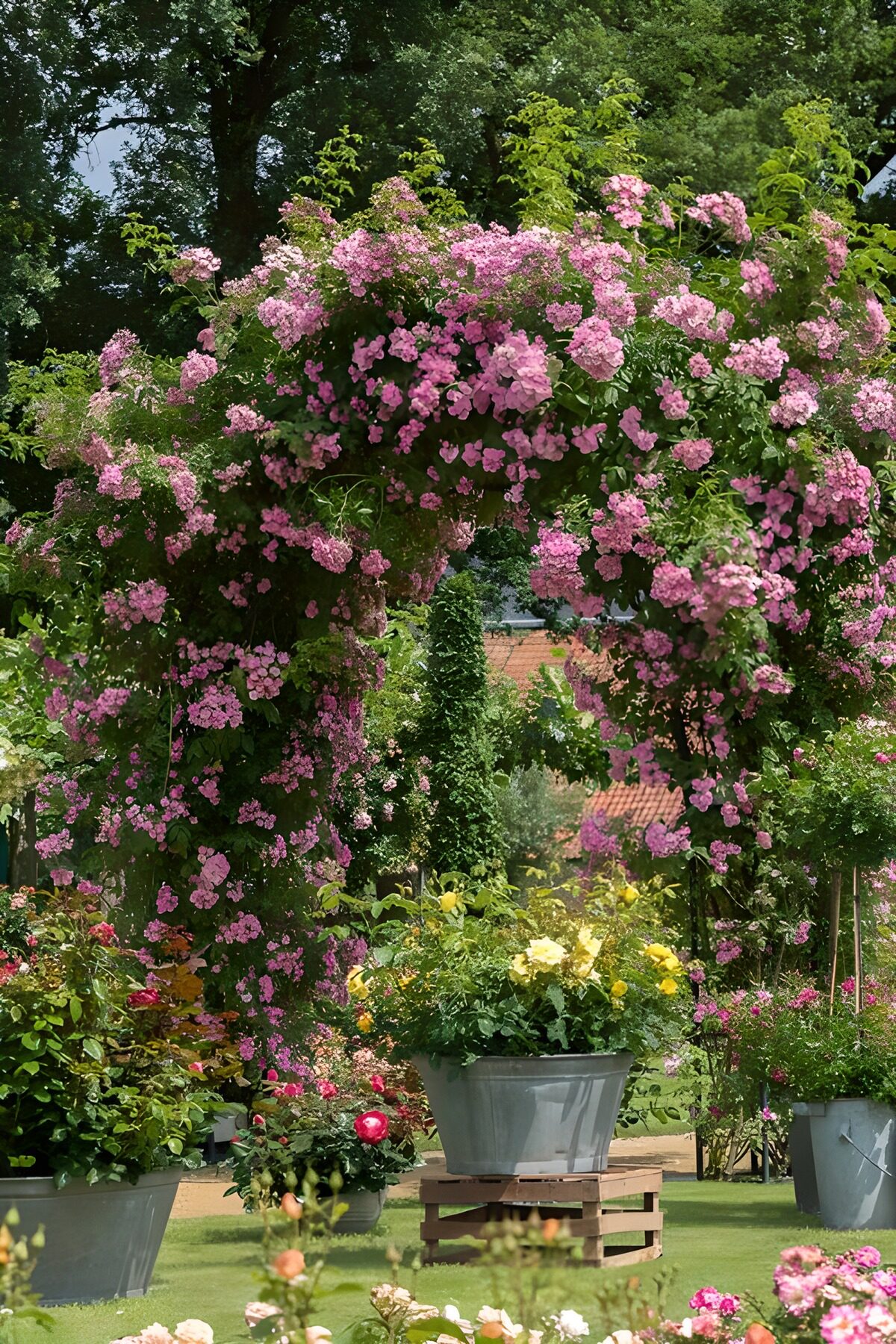 Rozenboog boven gele bloemen