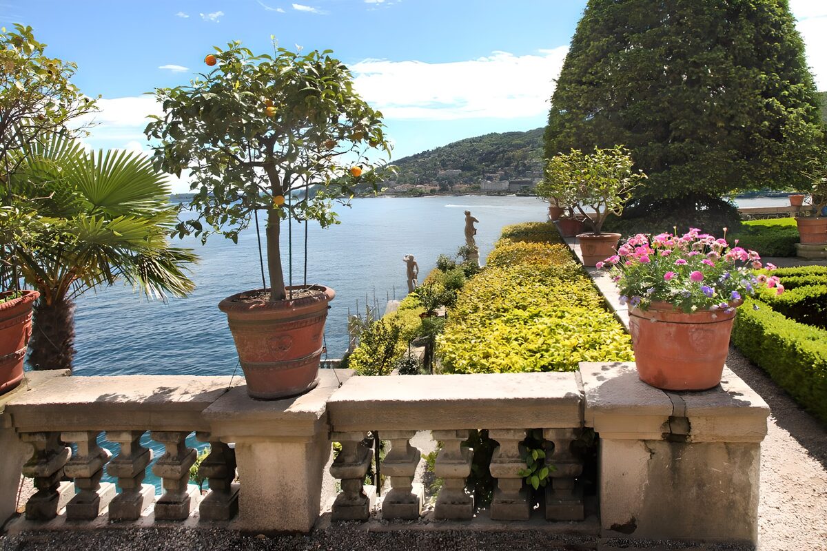 Terras met citrusboom aan het water
