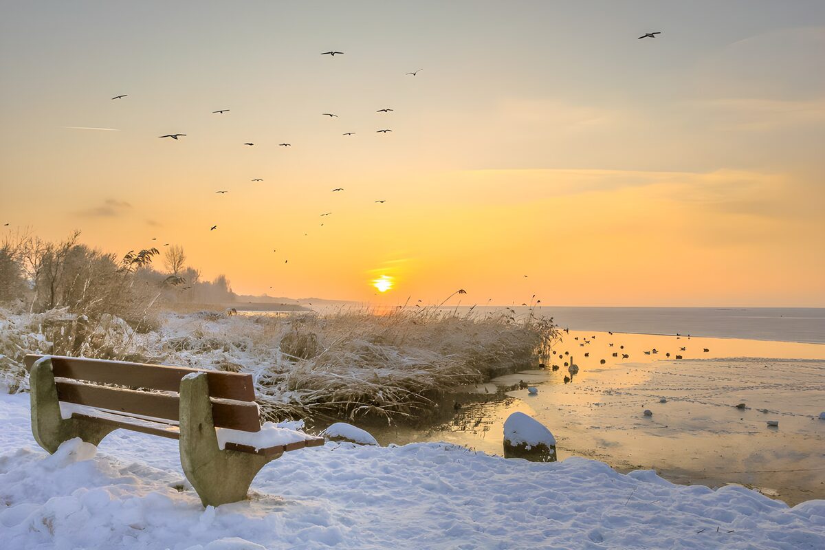 Besneeuwd bankje bij zonsondergang