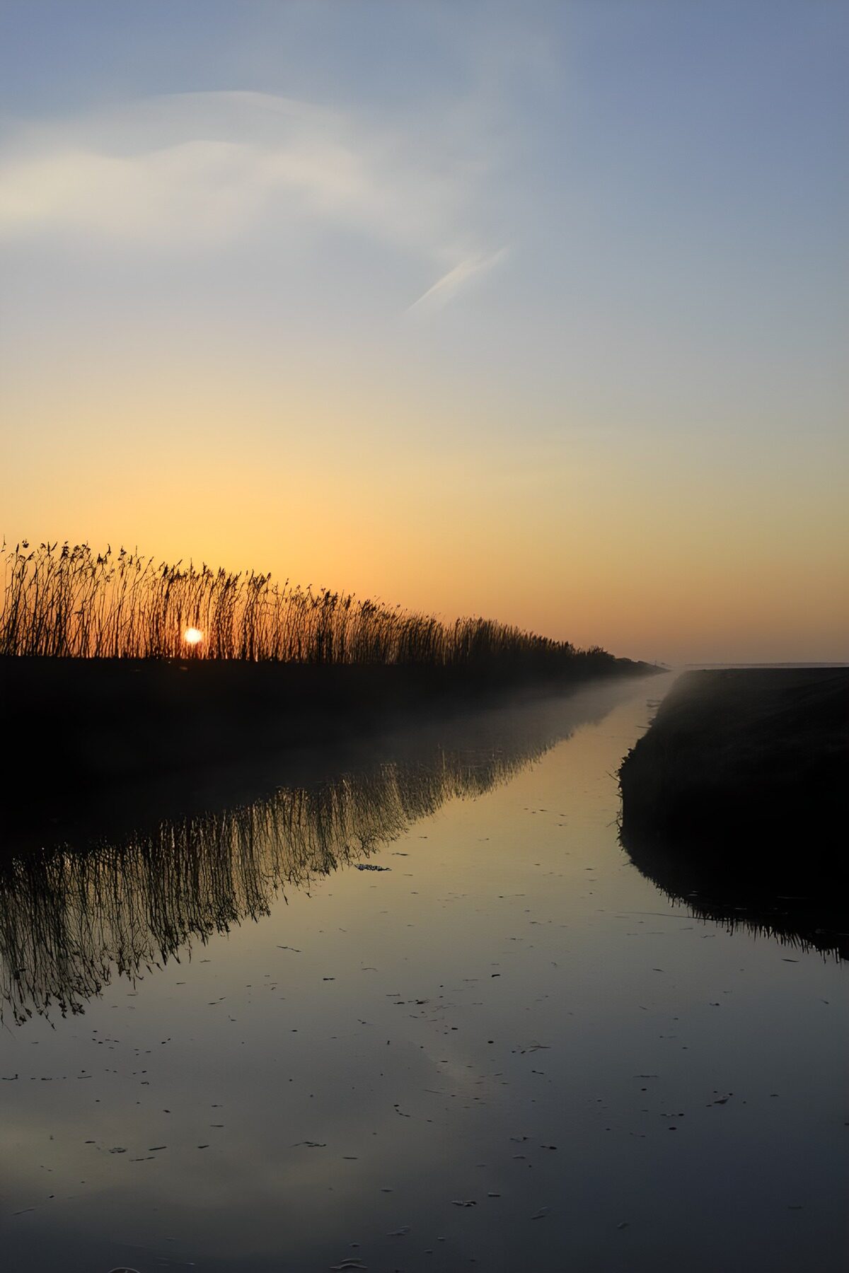 Stille sloot met riet in het gouden licht