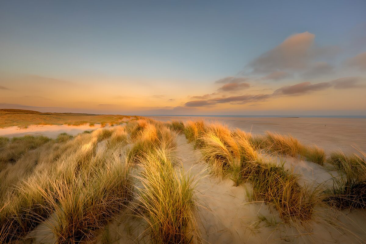 Duinen en zee in avondlicht