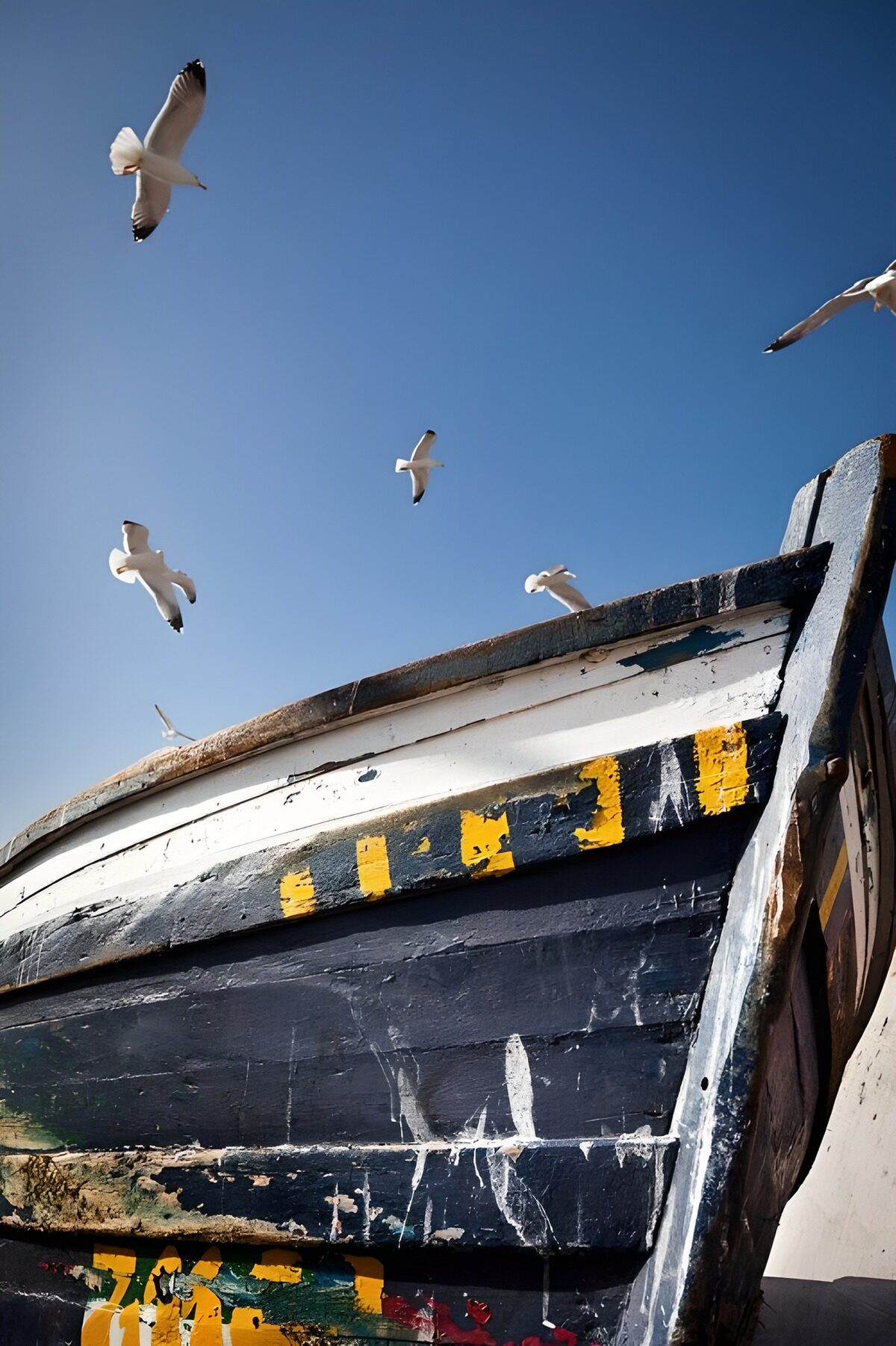 Meeuwen boven een verweerde boot