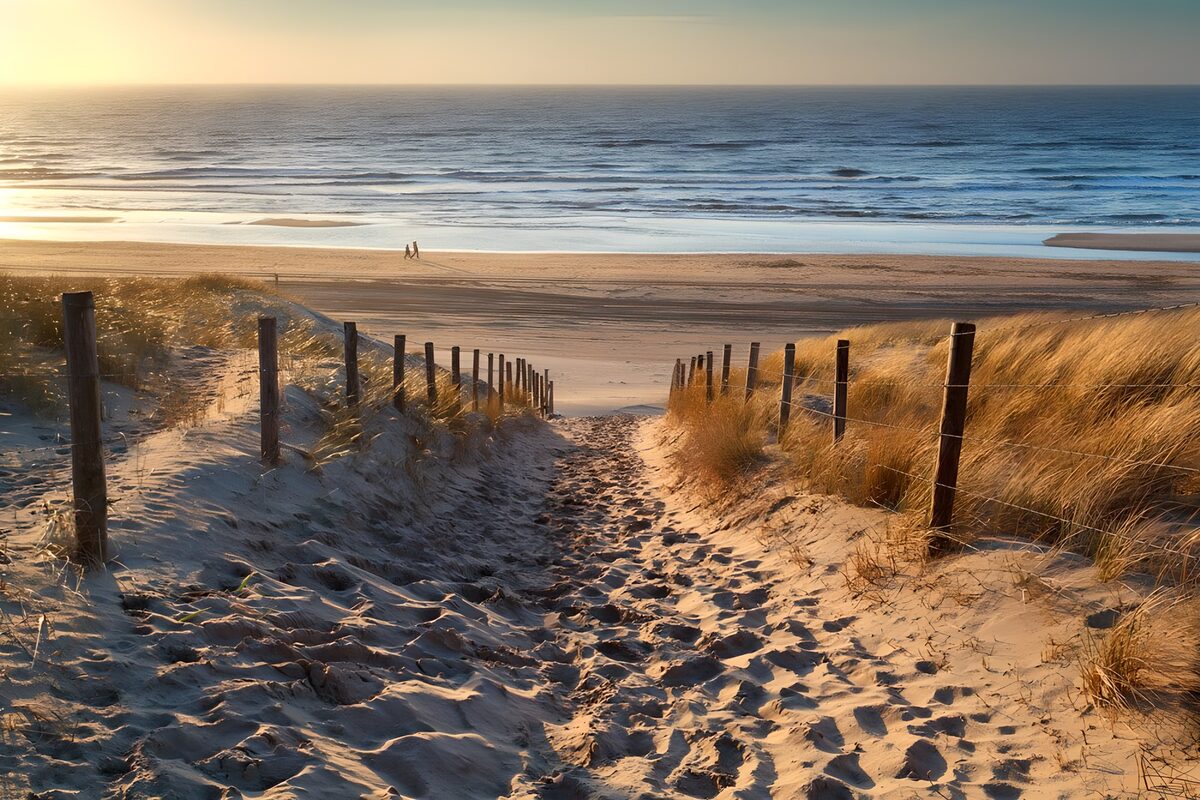 Zandpad door de duinen in avondlicht