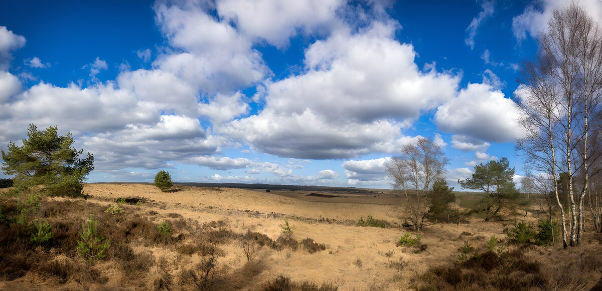 Zand en heide onder een blauwe wolkenlucht