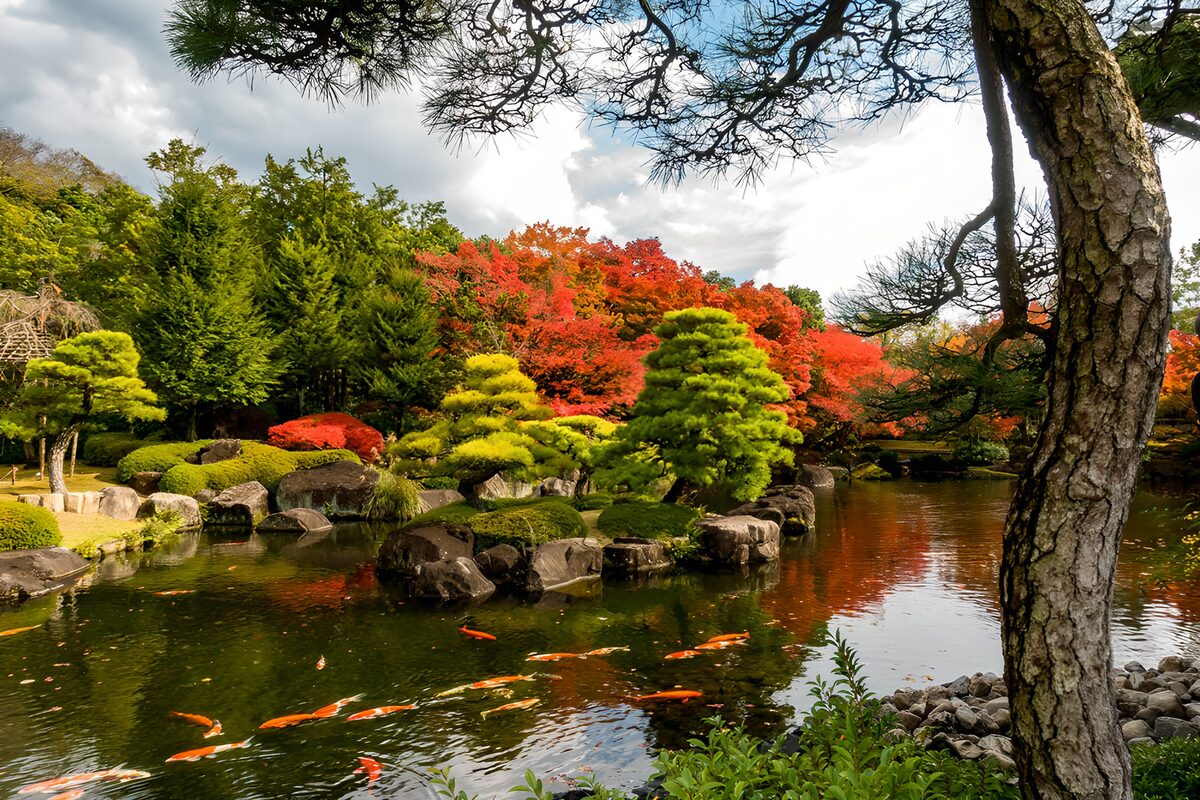 Japanse tuin met koi in herfstkleuren