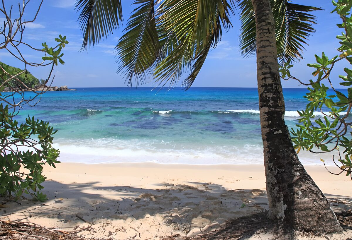 Tropisch strand met palm en blauwe zee