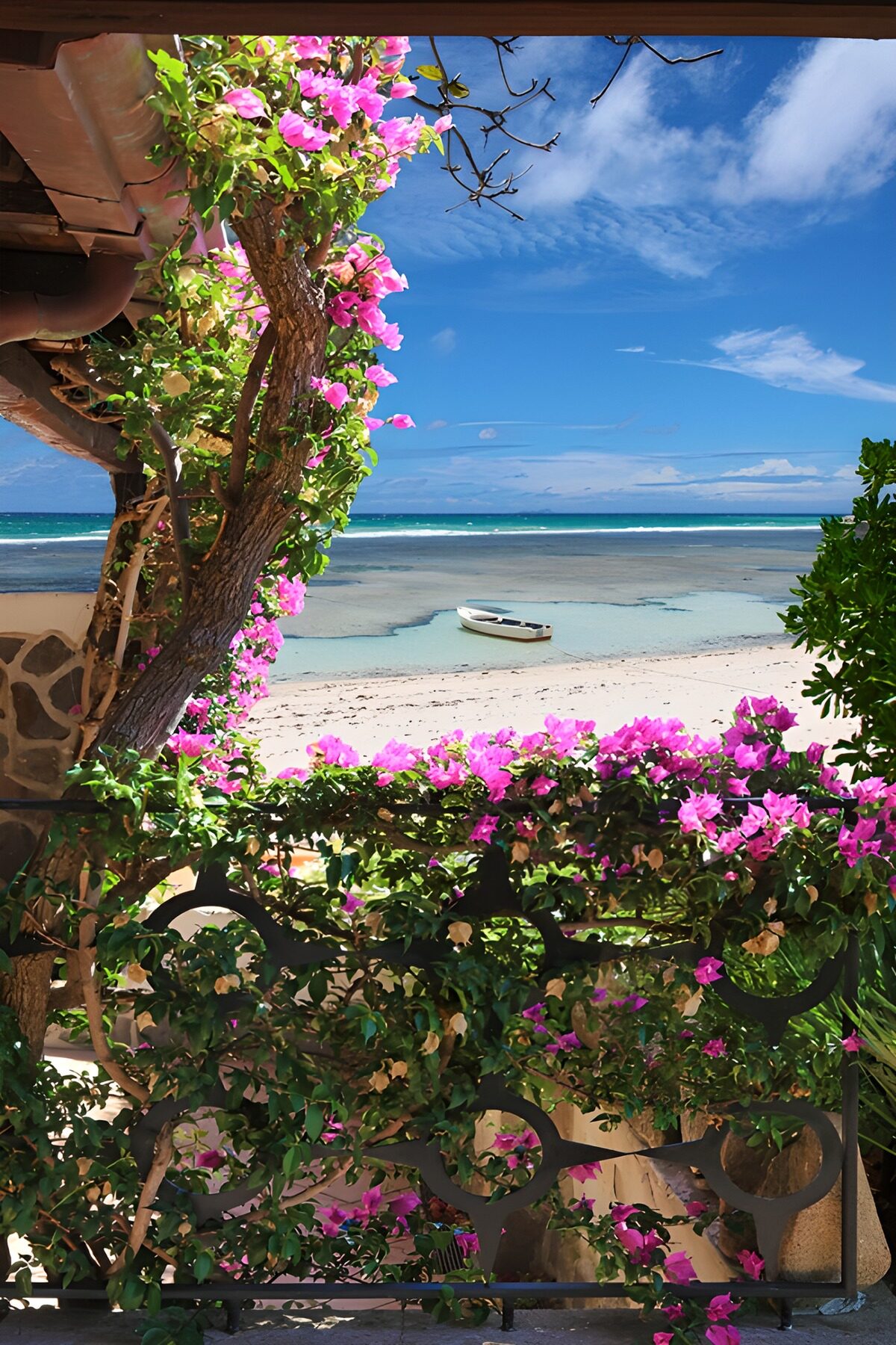 Roze bougainvillea aan het strand