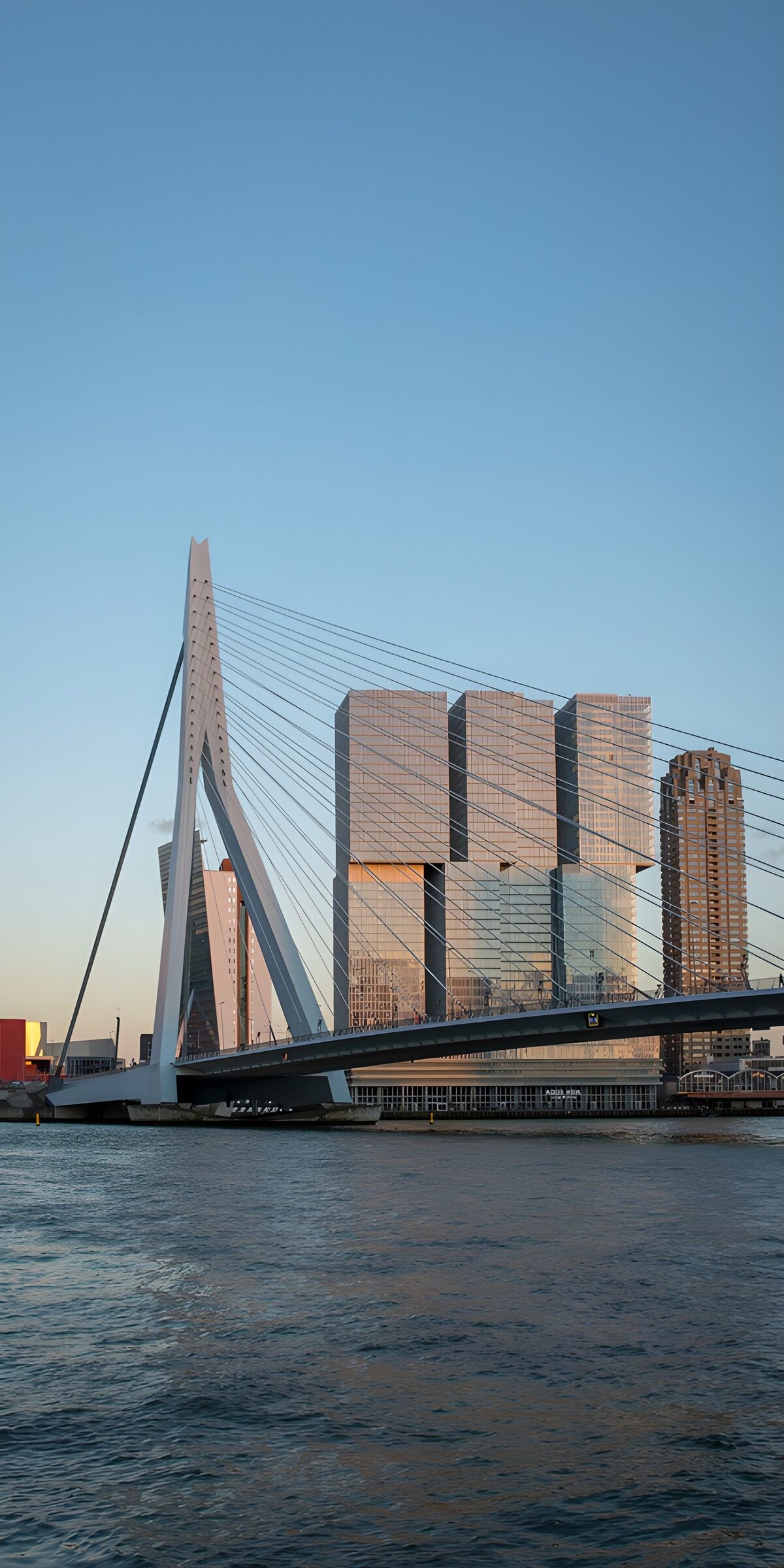 Erasmusbrug en skyline in warm licht
