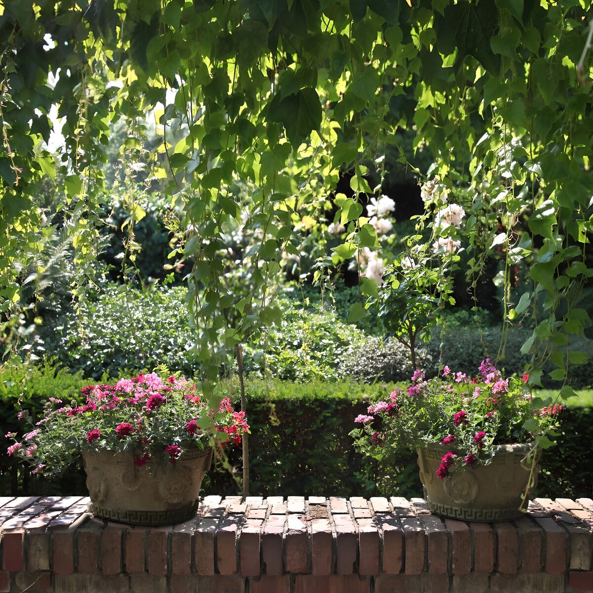 Twee bloempotten in het gefilterde licht