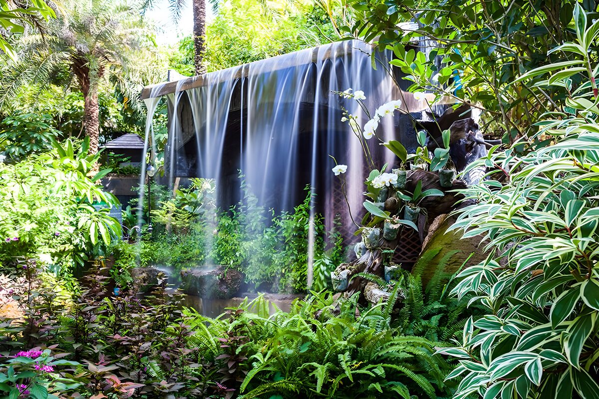 Waterval tussen weelderig groen