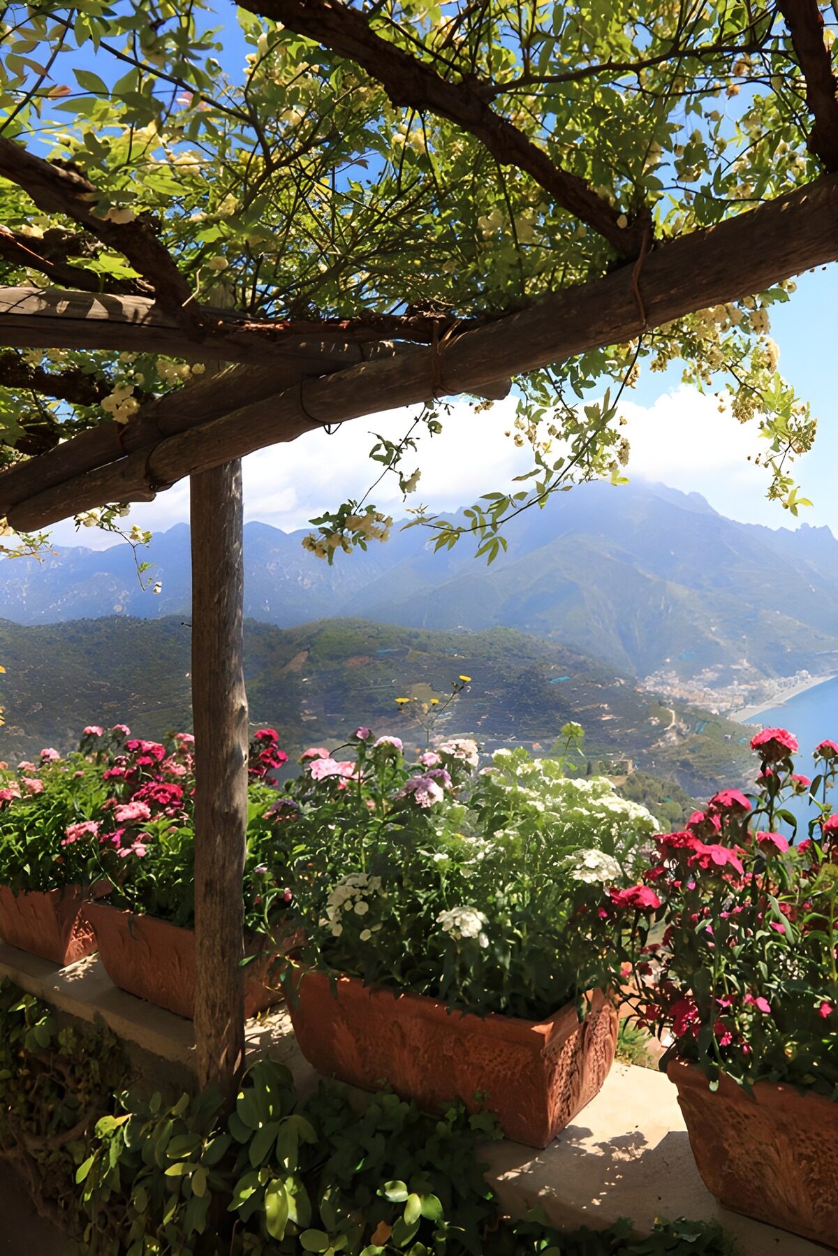 Bloemen onder de pergola met bergzicht