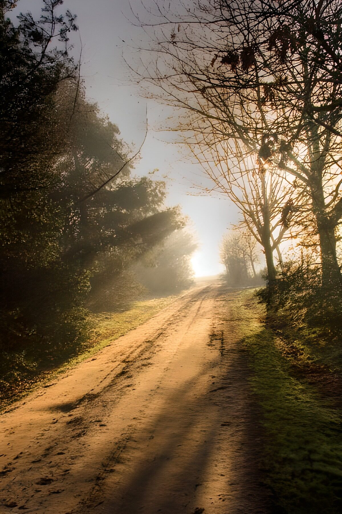Zandweg in gouden nevel