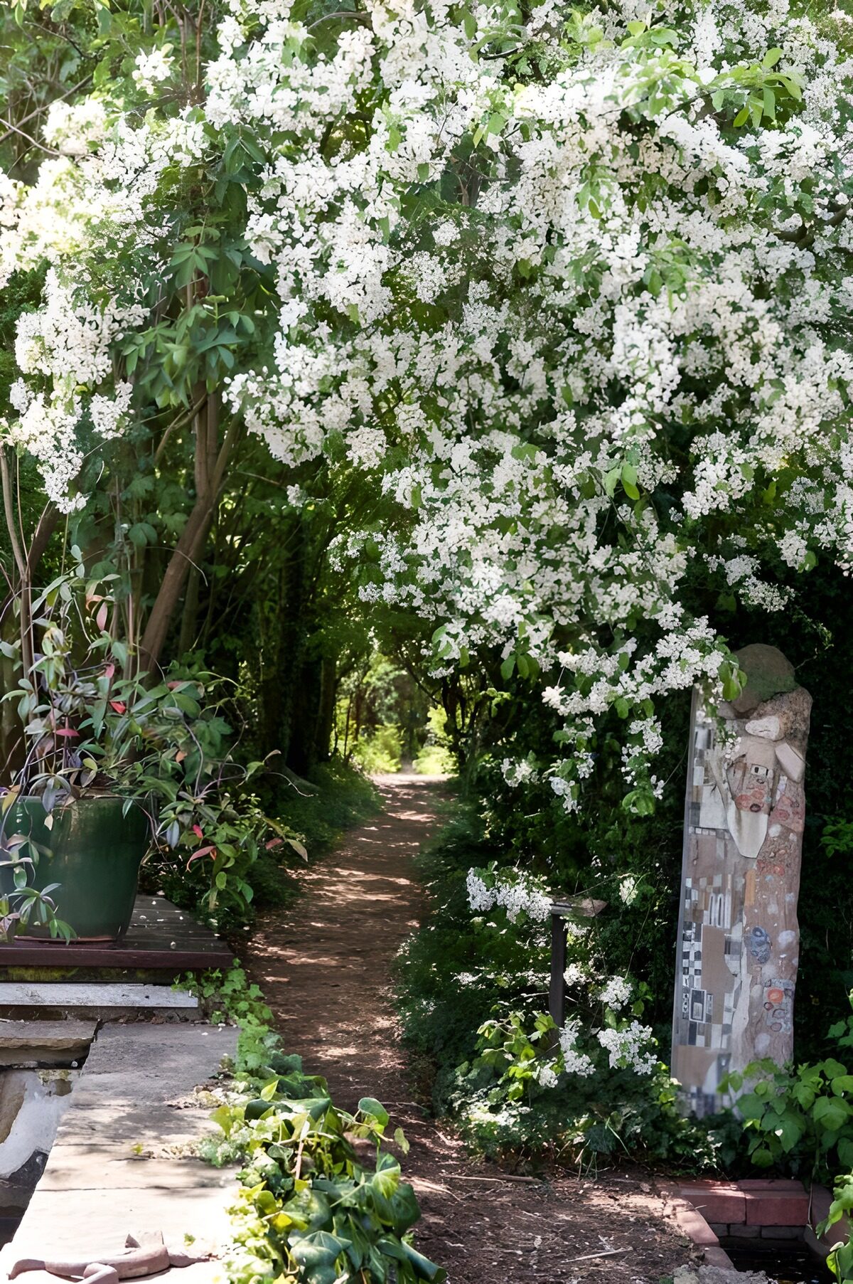 Tuinpad onder witte bloesem