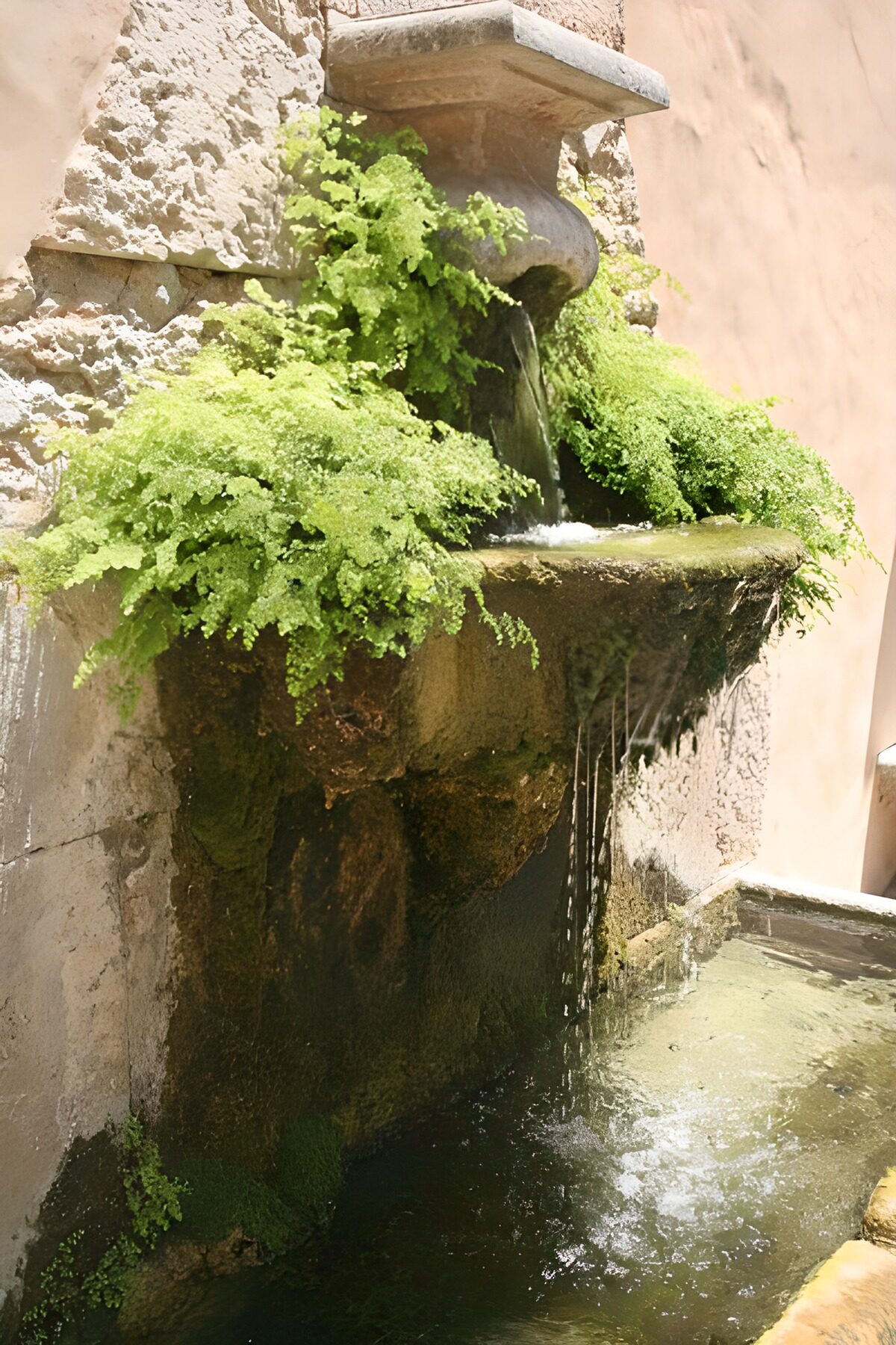 Stenen muurfontein tussen de varens