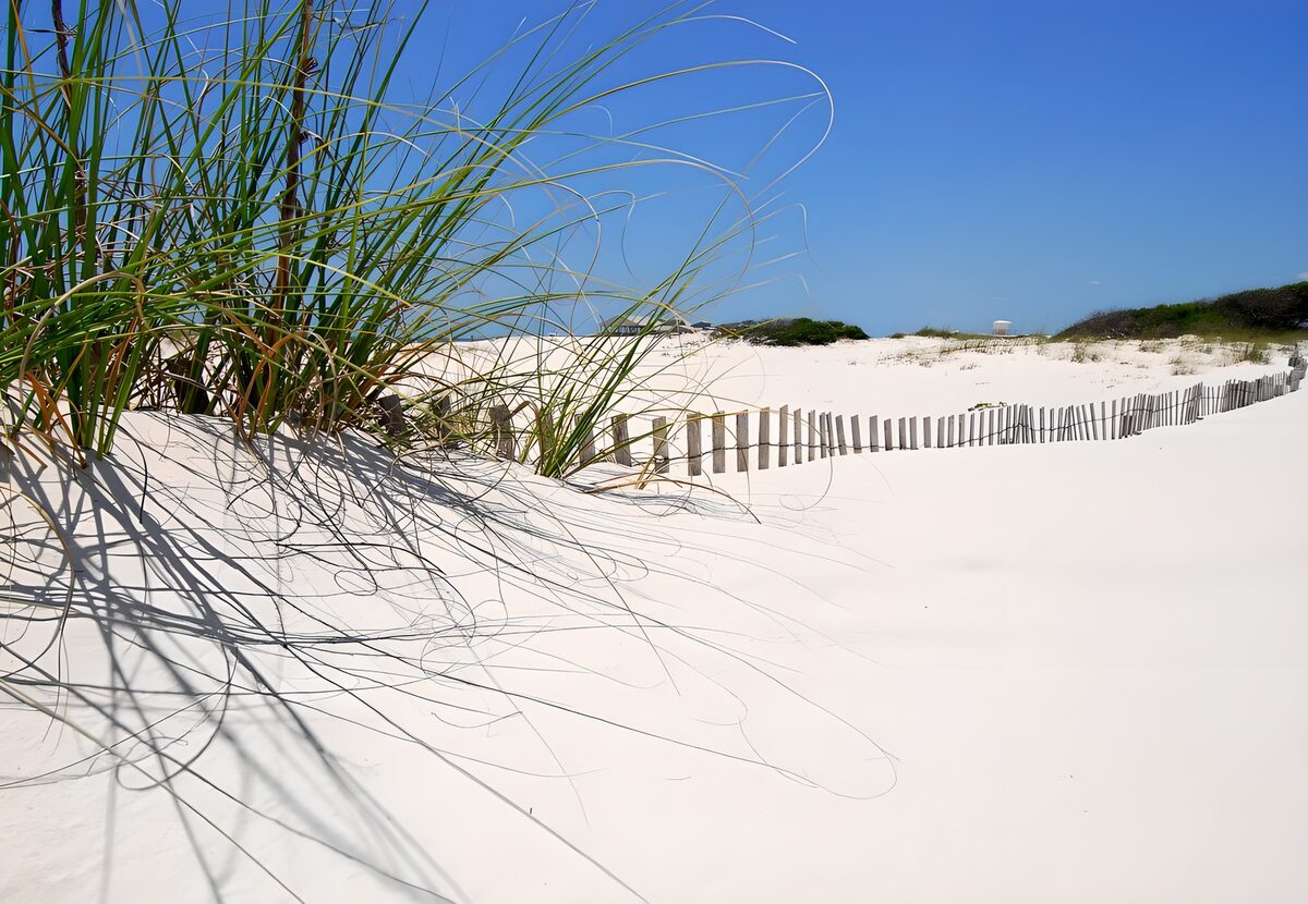 Duingras en een hek in zonnig zand