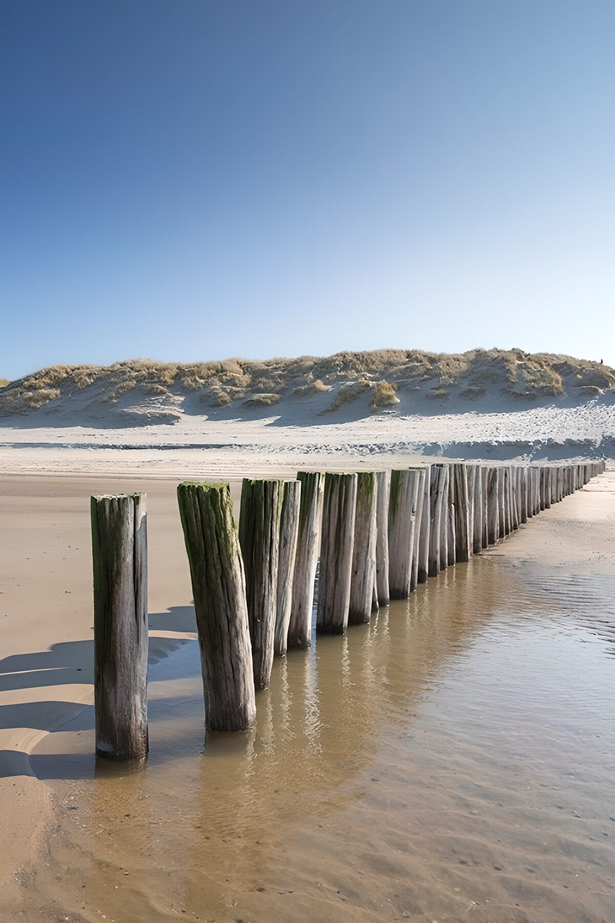 Strandpalen, duinen en een strakblauwe lucht