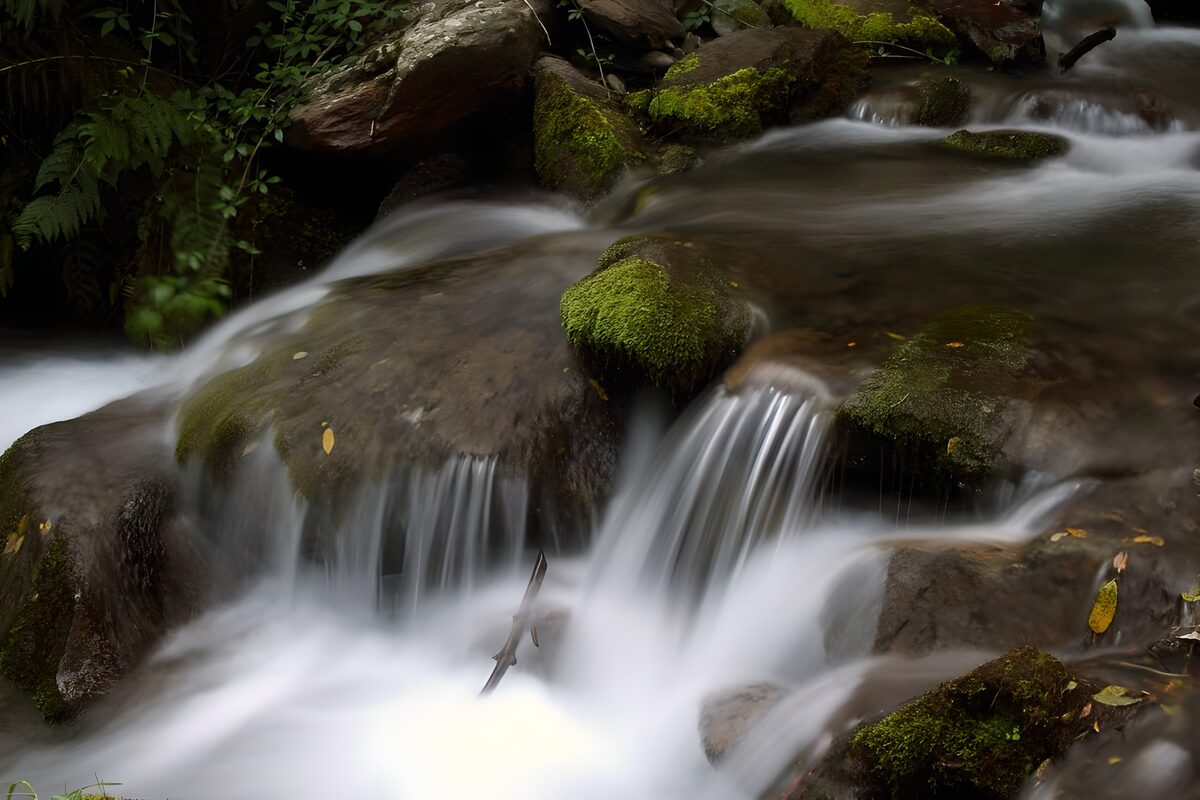 Witte waterlinten tussen groen mos