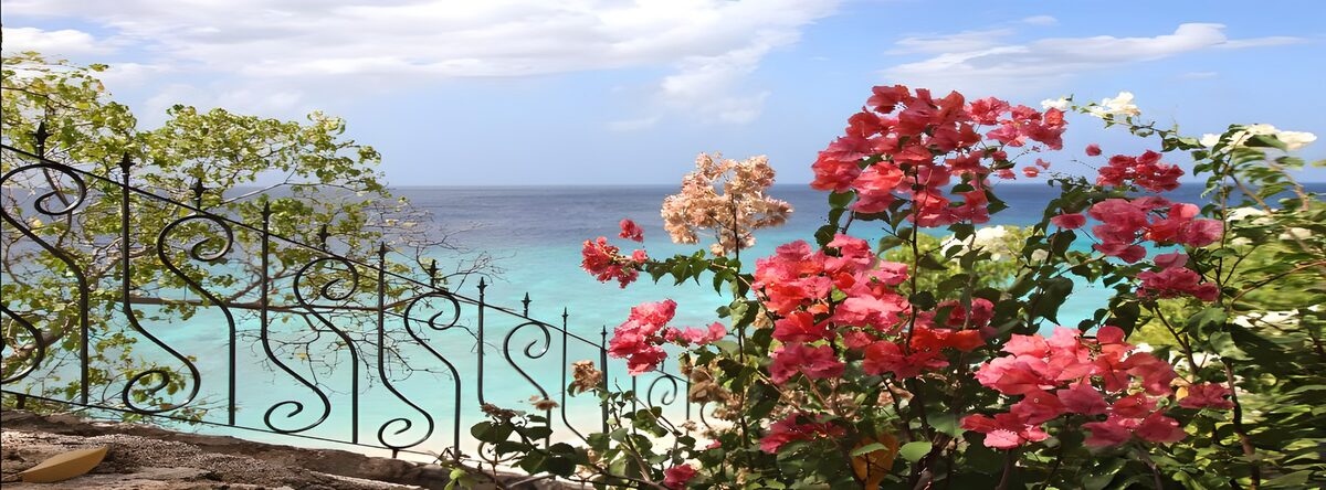 Bougainvillea boven de turquoise zee