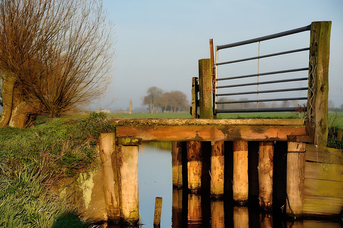 Houten bruggetje in laag zonlicht