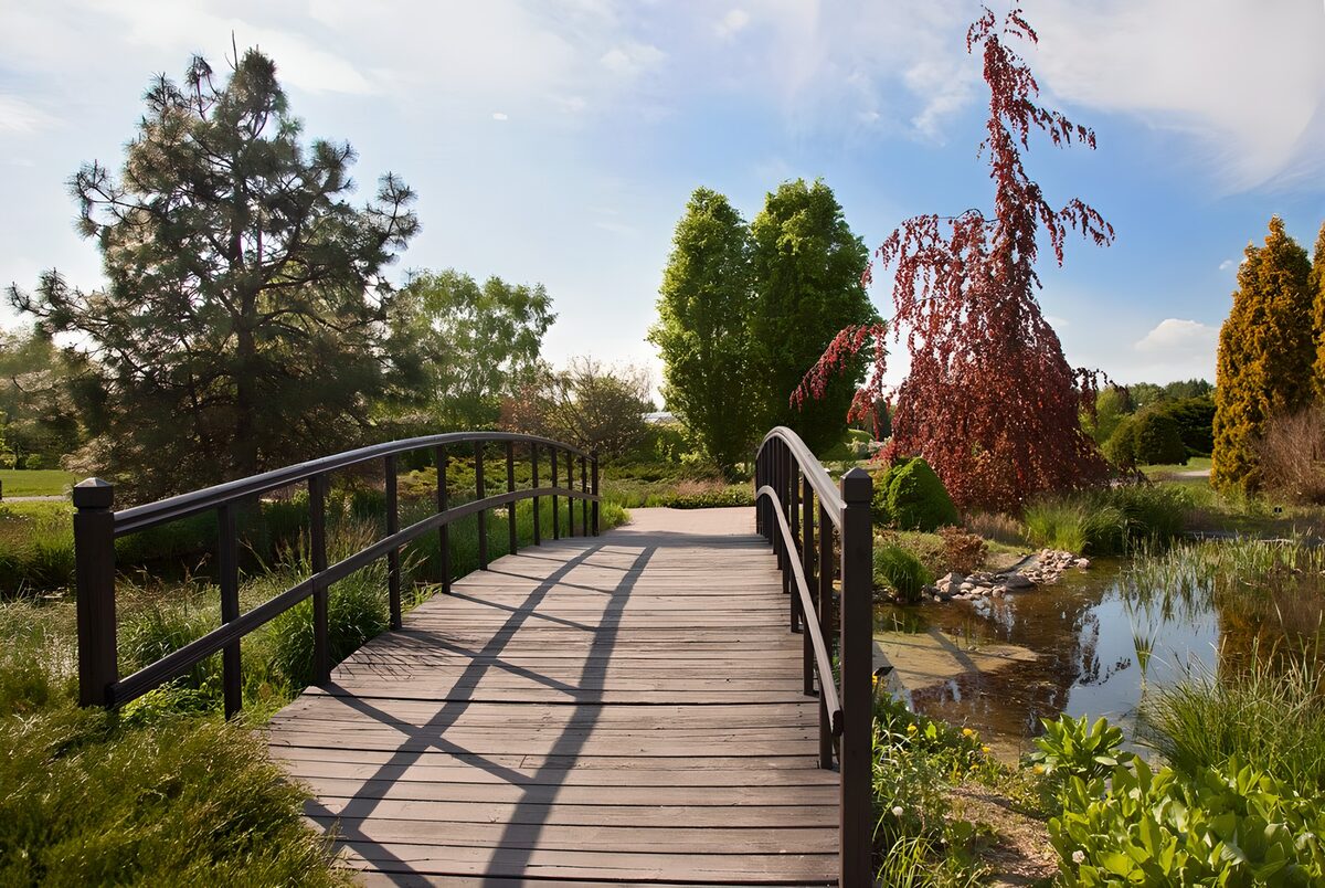 Houten brug in een zonnige vijvertuin