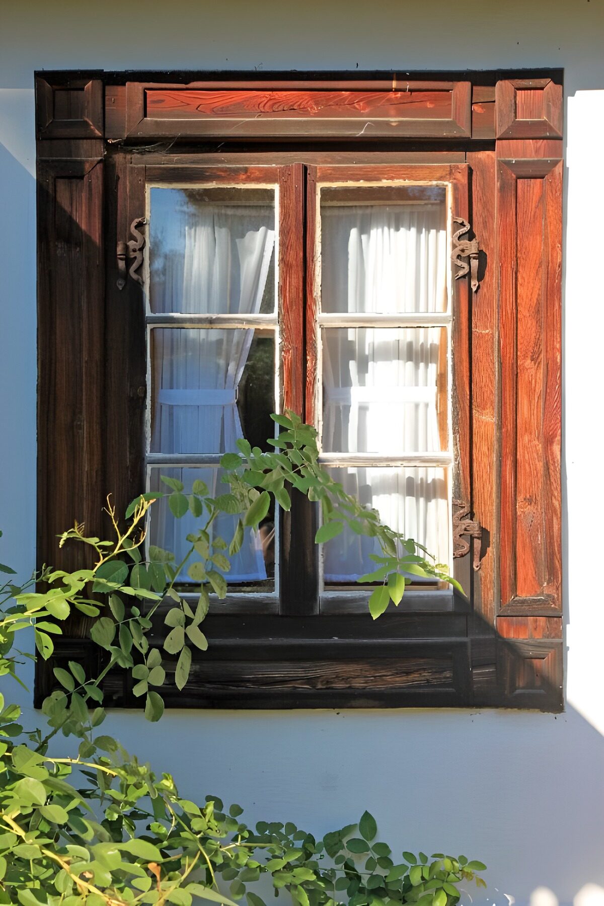 Houten raam met groen in de zon