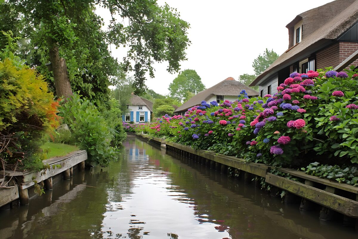 Dorpsvaart met bloeiende hortensia's
