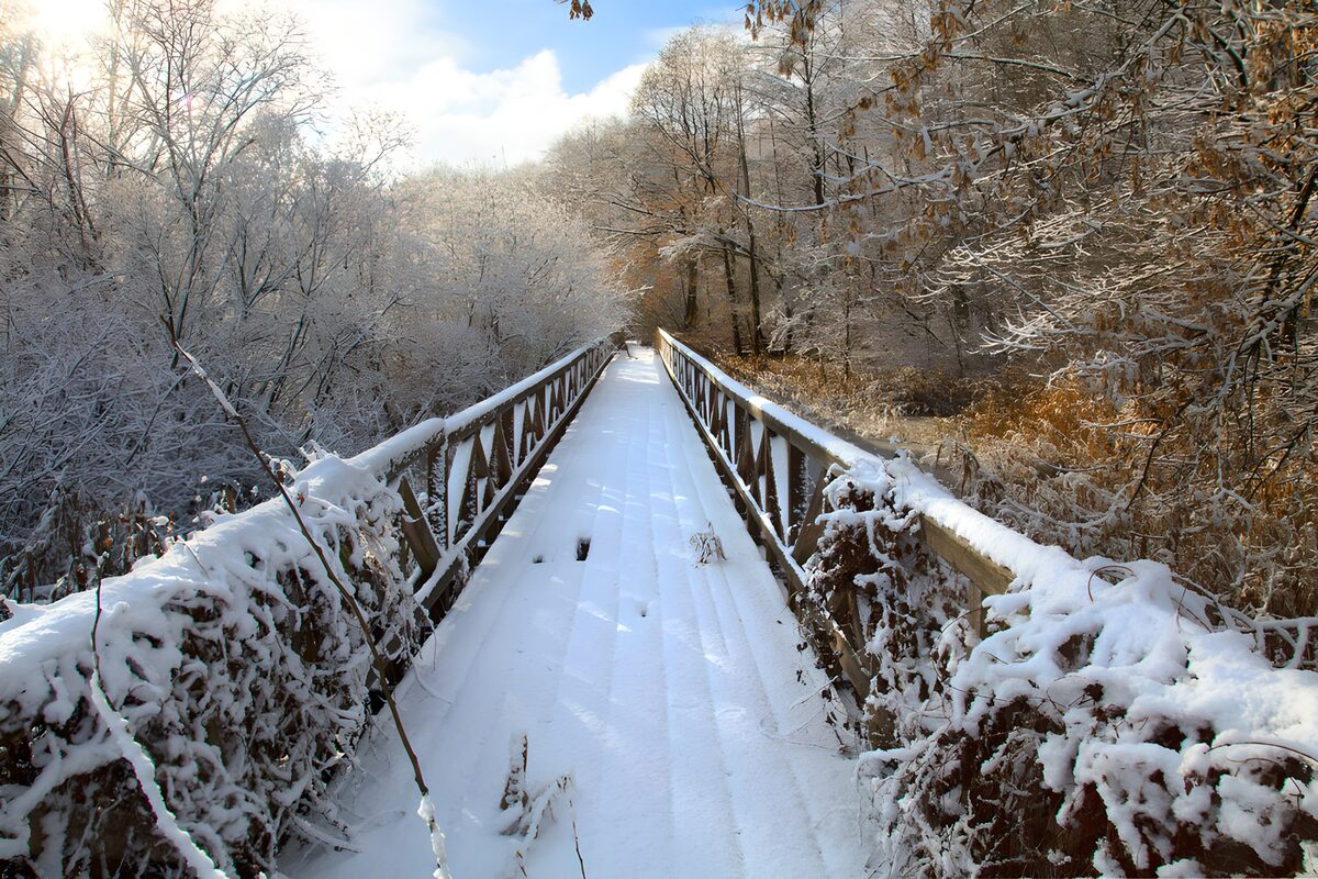 Besneeuwde voetbrug in zonnig winterbos